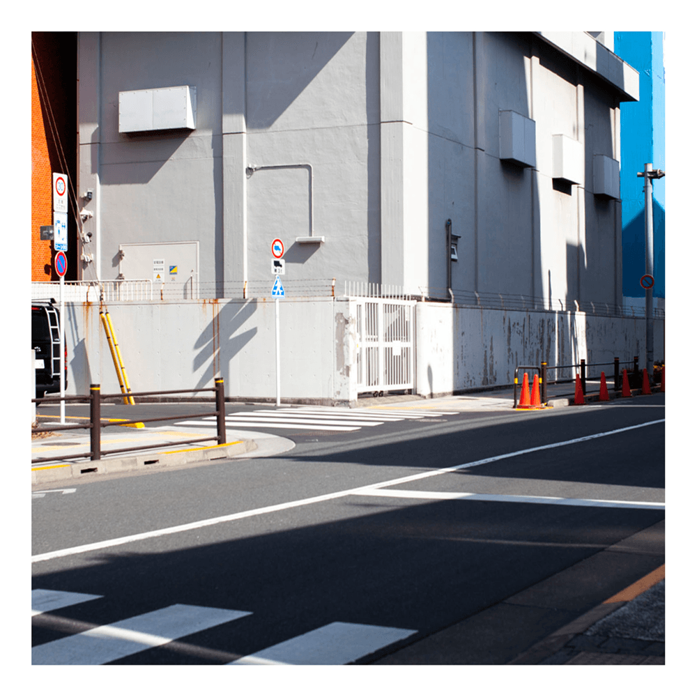 repeat_performance_of_patrinia_yellow_poc1