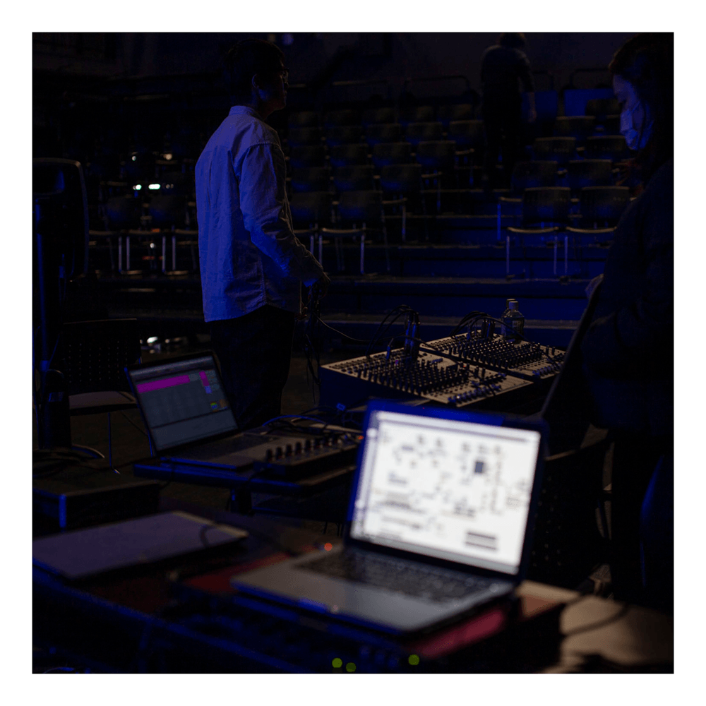 repeat_performance_of_patrinia_yellow_poc2