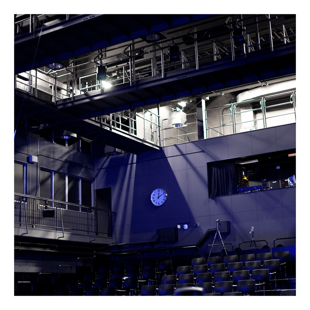 repeat_performance_of_patrinia_yellow_poc3