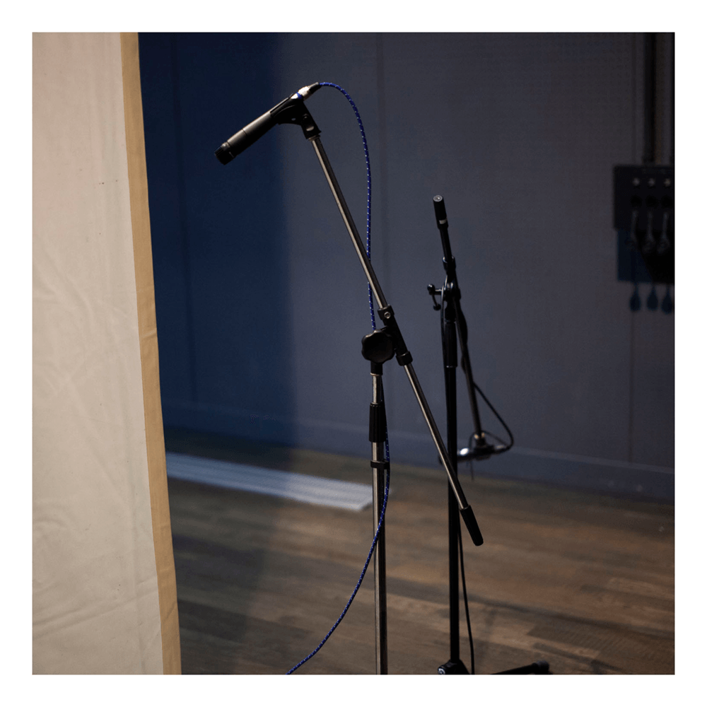 repeat_performance_of_patrinia_yellow_poc5